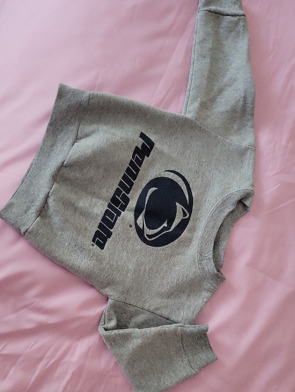 Toddler Gray Crewneck Sweatshirt with Navy Logo